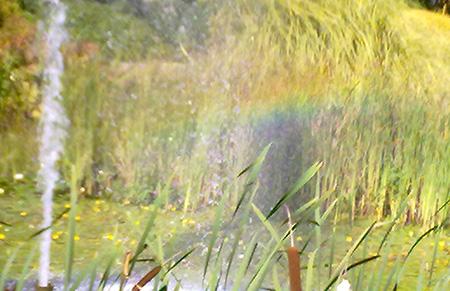 A rainbow in the fountain